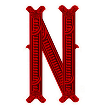 N- Kowhaiwhai Mens Singlet Design
